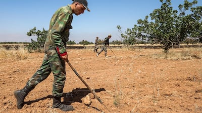 A Syrian army soldier uses a detector to find and clear landmines in a field at a pistachio orchard in the village of Maan, north of Hama in west-central Syria. AFP