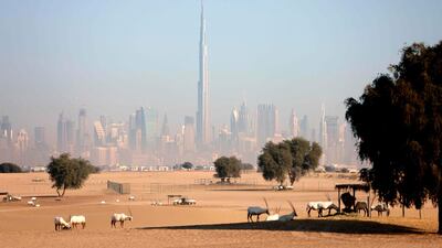 The UAE has dealt with the Covid-19 pandemic better than many other developed countries and will now play a leading role manufacturing the Sinopharm vaccine. AFP
