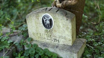 'Jose's' headstone, described as a 'little horse'.