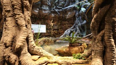 Entrance of the Indoor Green Planet Dubai at the City Walk area in Dubai.