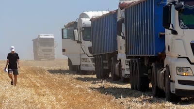 Ukrainian farmers harvest grain in the Odesa region of south Ukraine in June. EPA