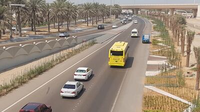 Hundreds of palm trees were also planted. Courtesy Abu Dhabi Municipality