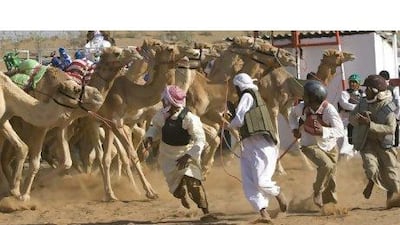 Trainers scamper out of the way during last year's Camel Race Festival at the Al Sawan track in Ras al Khaimah.