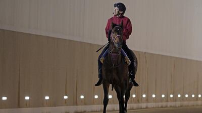 Steven Cargill / Racingfotos.com