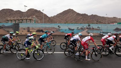 The pack rides during the fifth stage of the UAE Tour. AFP