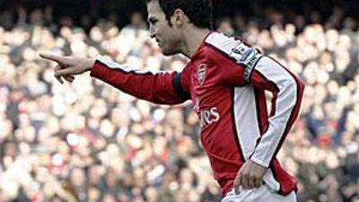 Fabregas picked up the hamstring injury in Saturday's game against Burnley.