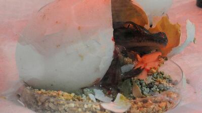 Officials at the Dubai Aquarium said the hatching of the baby croc indicates how effortlessly King Croc and his companion have adapted to their home. Courtesy Dubai Aquarium & Underwater Zoo