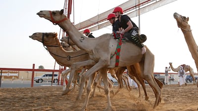 And they're off: participants race to the finish line.