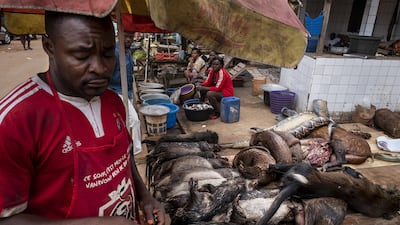 'Bushmeat and Epidemics' by Brent Stirton. Photo: Brent Stirton / Getty Images for National Geographic