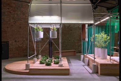 Pressure Cooker is the pavilion's presentation at this year's biennale. The project, curated by Azza Aboualam, presents several greenhouse assemblies within the exhibition space. Photo: National Pavilion UAE