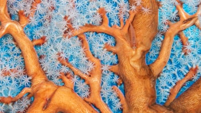 Coral connections by Alex Mustard, from the UK, which has been Highly Commended in the Under Water category. Alex Mustard / Wildlife Photographer of the Year / PA