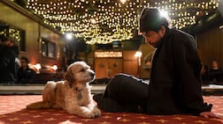 Ramy Youssef's stand-up special delves into the contradictions of modern intimacy. Photo: HBO