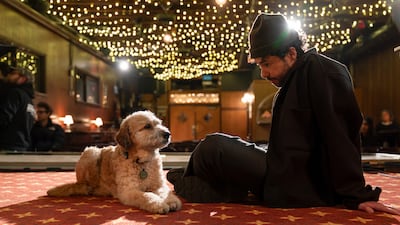 Ramy Youssef's stand-up special delves into the contradictions of modern intimacy. Photo: HBO