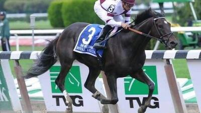 Trainer Bill Mott says that had the Breeders not moved off synthetic turf many of his horses, such as Royal Delta, would not have run at the two-day meet.
