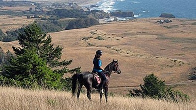 The current drought in California's Mendocino County – an area known for outstanding beauty – is showcasing the region's precarious water situation.