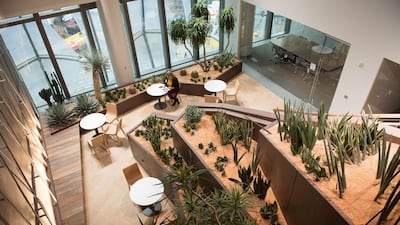 The Canyonlands Garden, which represents the Grand Canyon and the south west desert landscapes of the United States, goes on show for the first time prior to the unveiling of the new US Embassy building in London. Stefan Rousseau - WPA Pool / Getty Images
