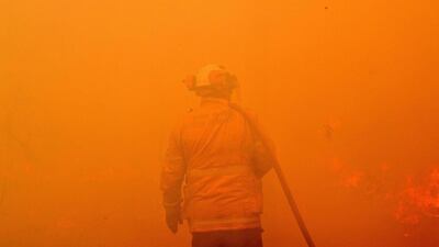 A firefighter conducts back-burning measures to secure residential areas from encroaching bushfires in the Central Coast, some 90-110 kilometres north of Sydney. AFP