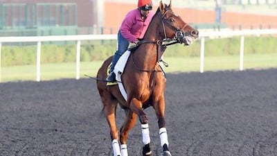 Little Mike will be looking for his first victory since taking the Breeders’ Cup Turf in November. Jaime Puebla / The National