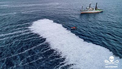 'FV Margiris' – the world's second-biggest fishing vessel – shed the dead fish into the Atlantic Ocean, forming a floating carpet of carcasses.