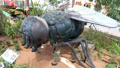 And even the common housefly