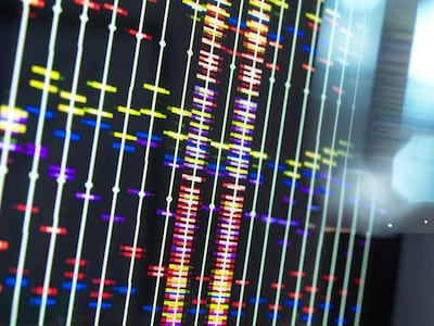 Even within a single lineage, identity refused to follow a clean line in the writer's DNA sequencing test. Getty Images