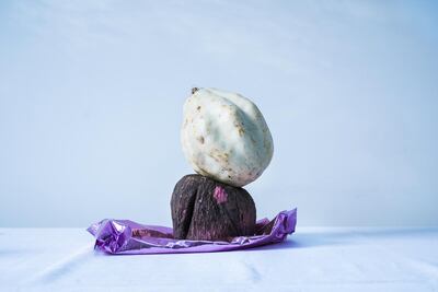 One of the prototypes developed by the Centre for Genomic Gastronomy (CGG), an artist-led research institute that is working on a project specifically for Quoz Arts Fest. Courtesy Alserkal Avenue