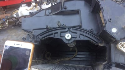 The dangerous snake was finally found after an extensive search. Supplied by family