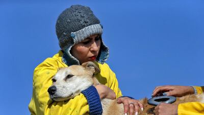 Conservatives have sought to impose their version of Islam on society and rid it of Western influence. But their efforts have met with resistance, particularly from younger, more urban and more well-off Iranians.