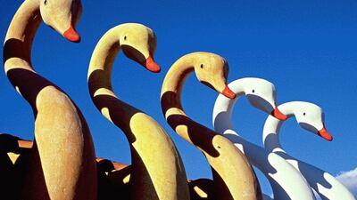 A World of Immaterial Objects Swans - Yiannis Galanopoulos. Working with both traditional and digital photo processes, his work has been exhibited in the EU the US and in Japan.