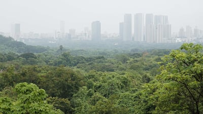 Green cover at Aarey colony in Mumbai, India. Getty Images