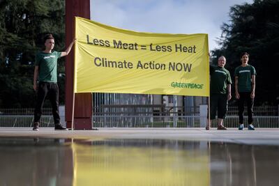 Greenpeace activists during a protest prior to the publication of the UN's Intergovernmental Panel on Climate Change (IPCC) report. Fabrice Coffrini / AFP