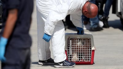 A dog named Bella accompanied a Libyan migrant family that disembarked from a rescue boat in Malta, on September 30, 2018. EPA