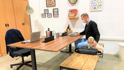 The space is open for people to work alongside their pets, from Sundays to Thursdays. Courtesy Doggy Be Collective