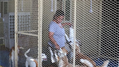 Michelle Francis runs Animals and Us Fujairah in her spare time and has rescued hundreds of animals over the past 17 years.