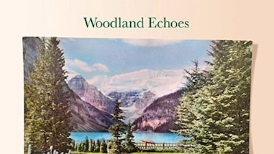 Woodland Echoes by Nick Heyward