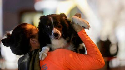 Flash, a sniffer dog deployed by Chilean rescuers, is carried by his handler after being injured during his search in the rubble of a building in the Lebanese capital's Gemmayze area. AFP
