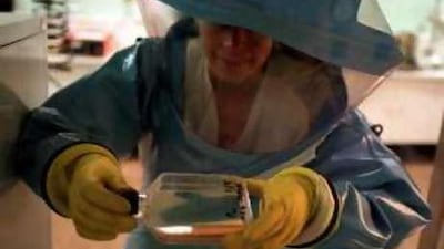 At the National Institute for Virology in Johannesburg a microbiologist tests a tissue sample for the Marburg virus.