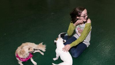 All Reading Dogs have also been given a clean bill of health by their local vet. Reem Mohammed / The National