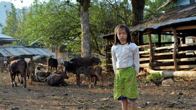 From as young as five years old, Kayan girls are given up to 10 neck rings to wear, they then add a new one approximately every year until adulthood.