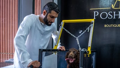 The treadmills are mechanical, meaning they go at the speed the dogs go, unlike electric ones which give little control to those on it.