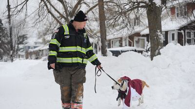 A man walks his dog in Buffalo. Getty