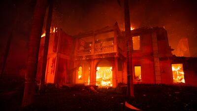 Wind drove embers into attics, palm trees and dry brush that had not burned for decades. EPA