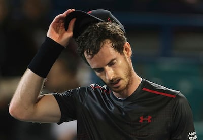 Andy Murray. Kamran Jebreili / AP Photo