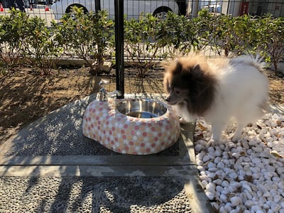 The outdoor space opened on February 13. Kansai Airport via Reuters