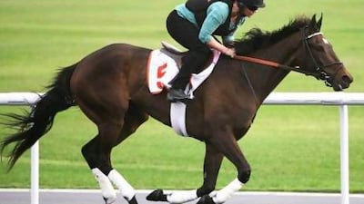 Regardless of her result at Belmont Park on Saturday, trainer Bill Mott is likely to aim his three-year-old filly at the Breeders' Cup Ladies Classic.