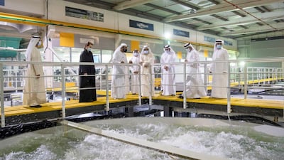 The company was established in 2013 in an effort to reduce the UAE's dependence on imported produce and support the country's marine industry.