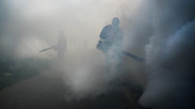 Workers spray mosquito repellent as part of a prevention campaign against dengue fever in Banda Aceh, Indonesia. AFP
