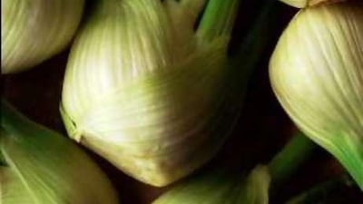 The presence of anethole in fennel gives it aromatic and carminative properties that make it useful in medicine.