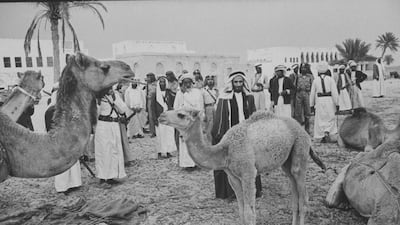 Ralph Crane / The LIFE Picture Collection / Getty Images