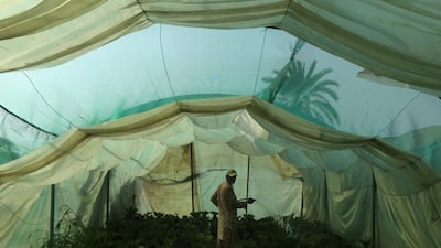 “Q is for Quench”. Courtesy Centre for Architectural Discourse